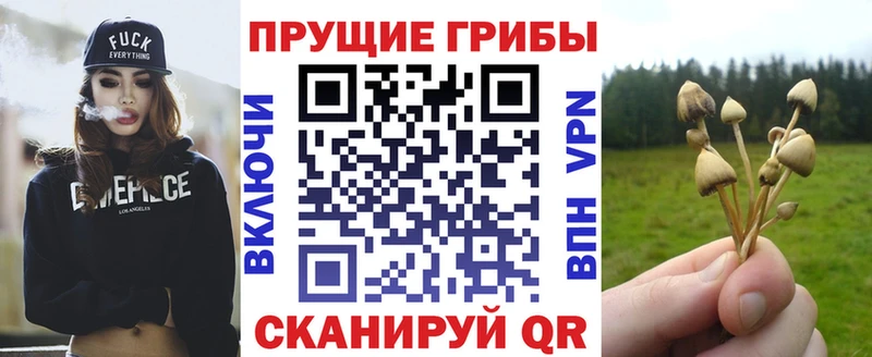 Псилоцибиновые грибы GOLDEN TEACHER  Верея 